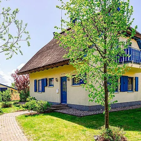 Haus-dornbusch * Vieregge